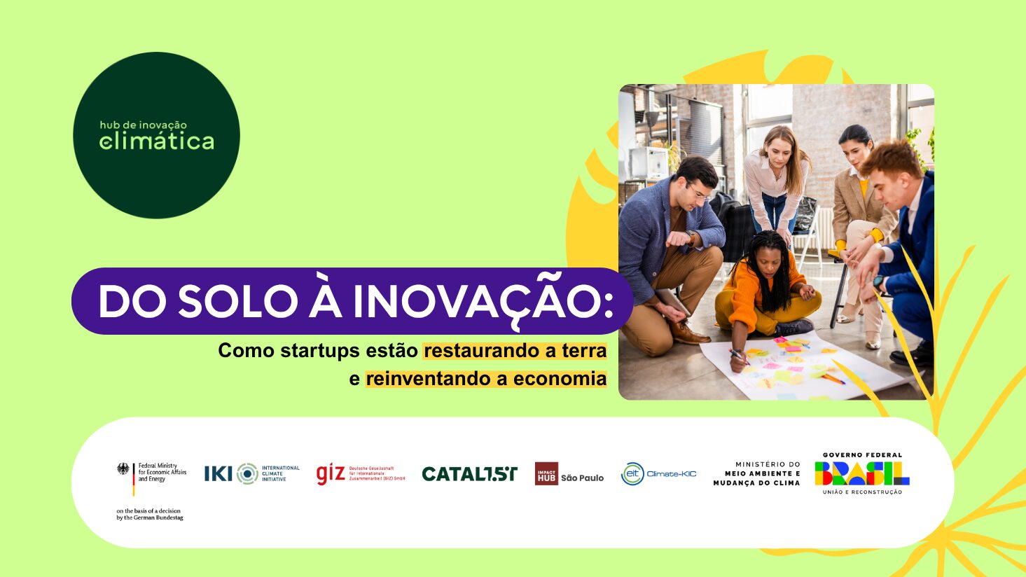 Economia da Restauração: como startups estão restaurando a terra e reinventando a economia