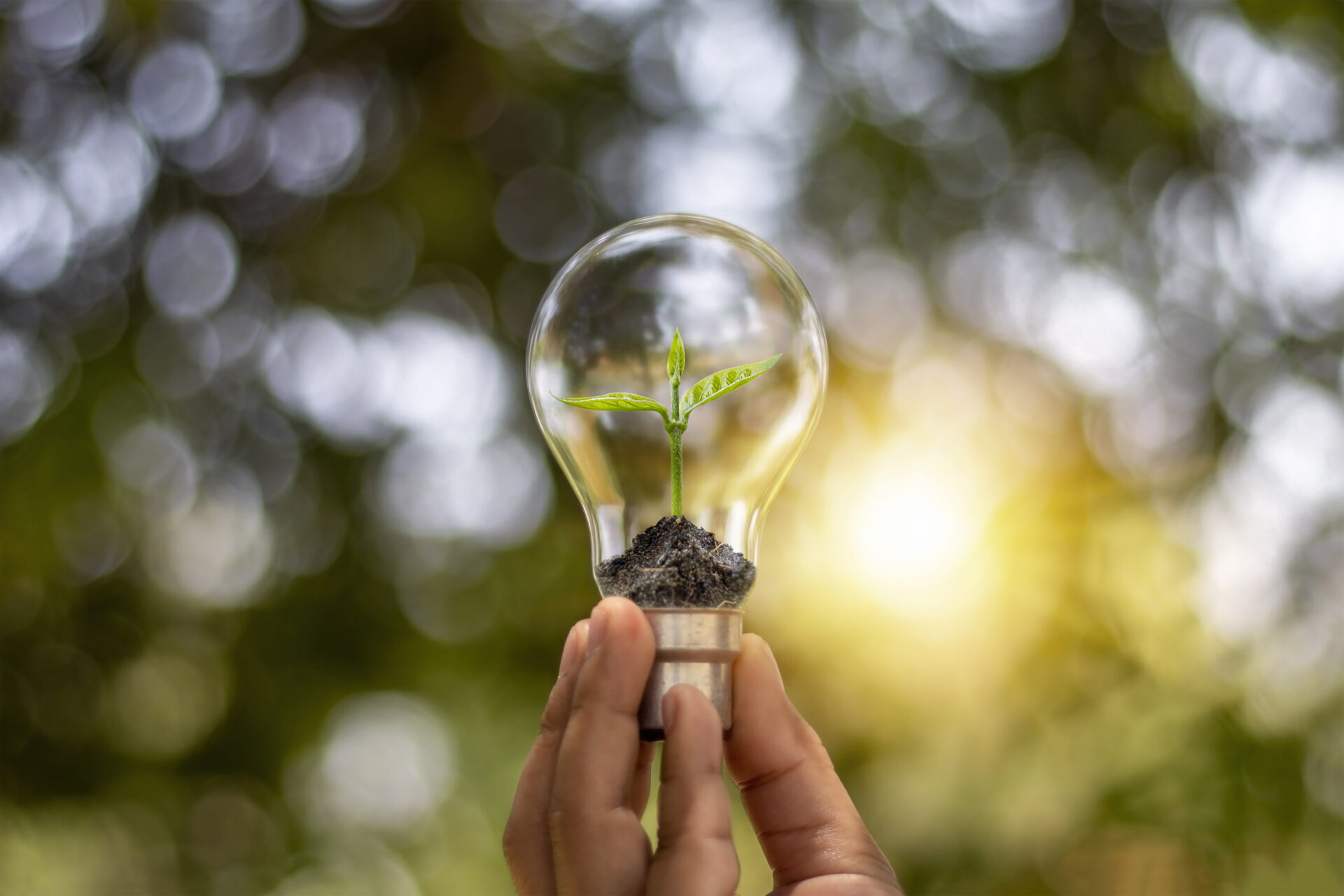 Energia limpa e renovável com justiça social: binômio essencial da COP 30