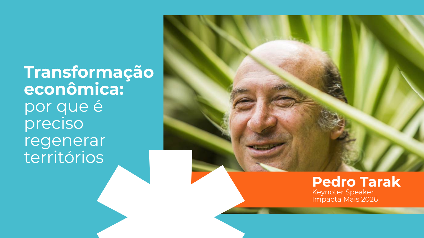 Transformação econômica: por que é preciso regenerar territórios